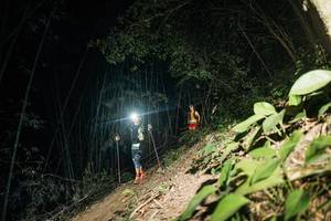 BIB: 
                            <button type="button" onclick="openModal(28116959)" class="btn btn-primary btn-sm float-right btn-popup" data-toggle="modal" data-target=".modal-high-quality">
                        <i class="fas fa-shopping-cart"></i> Add to Cart
                    </button>
                                            <button type="button" onclick="isThisMe(28116959, true)" class="btn btn-success btn-sm float-right btn-popup btn-isme hidden" data-toggle="tooltip" data-placement="bottom" title="นี่คือรูปของคุณใช่ไหม คลิกที่นี่เพื่อเอาเข้าอัลบั้ม">
                        <i class="fas fa-plus"></i> Add to album
                    </button>
                    <button type="button" onclick="isThisMe(28116959, false)" class="btn btn-warning btn-sm float-right btn-popup btn-isnotme hidden">
                        <i class="fas fa-ban"></i> Remove from album
                    </button>